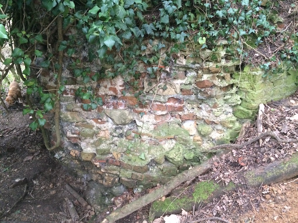 Ruins of Old Woodham Walter Hall, Woodham Walter Essex 201… Flickr