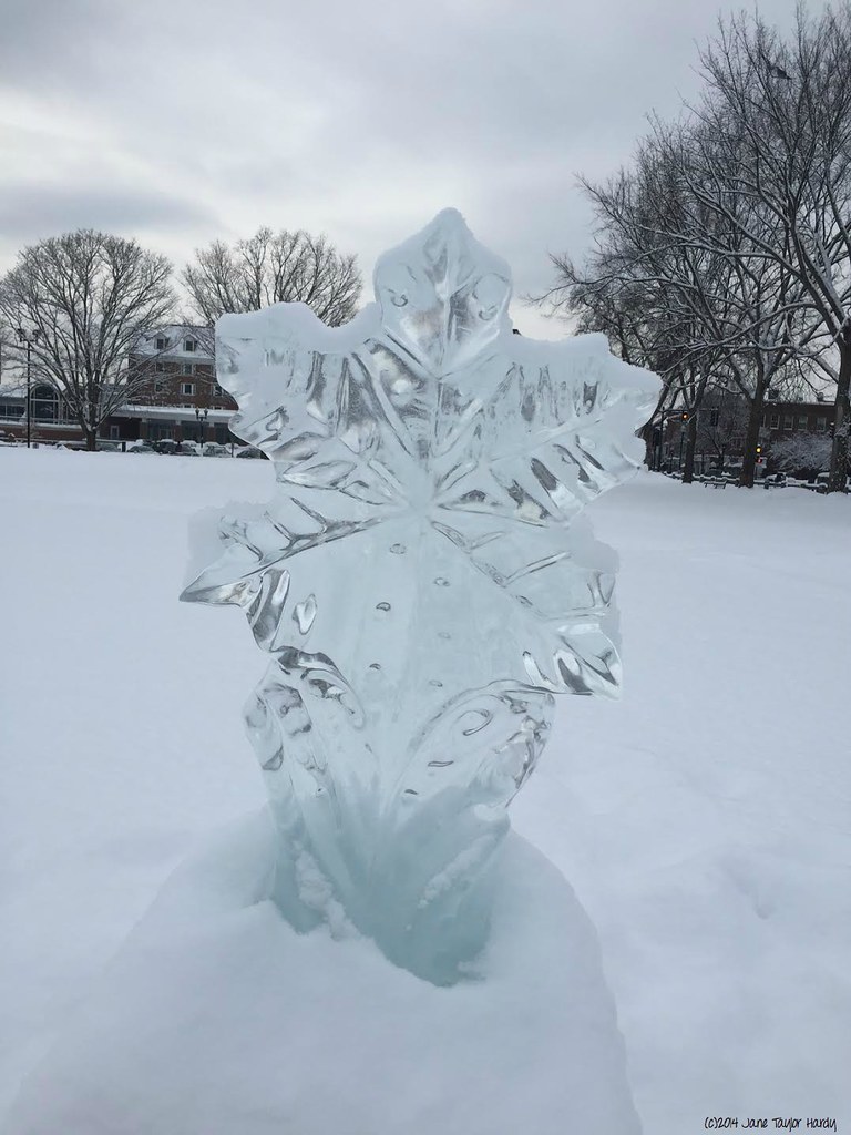 Flower Ice Sculpture Pic I took of an ice sculpture at Dar… Flickr