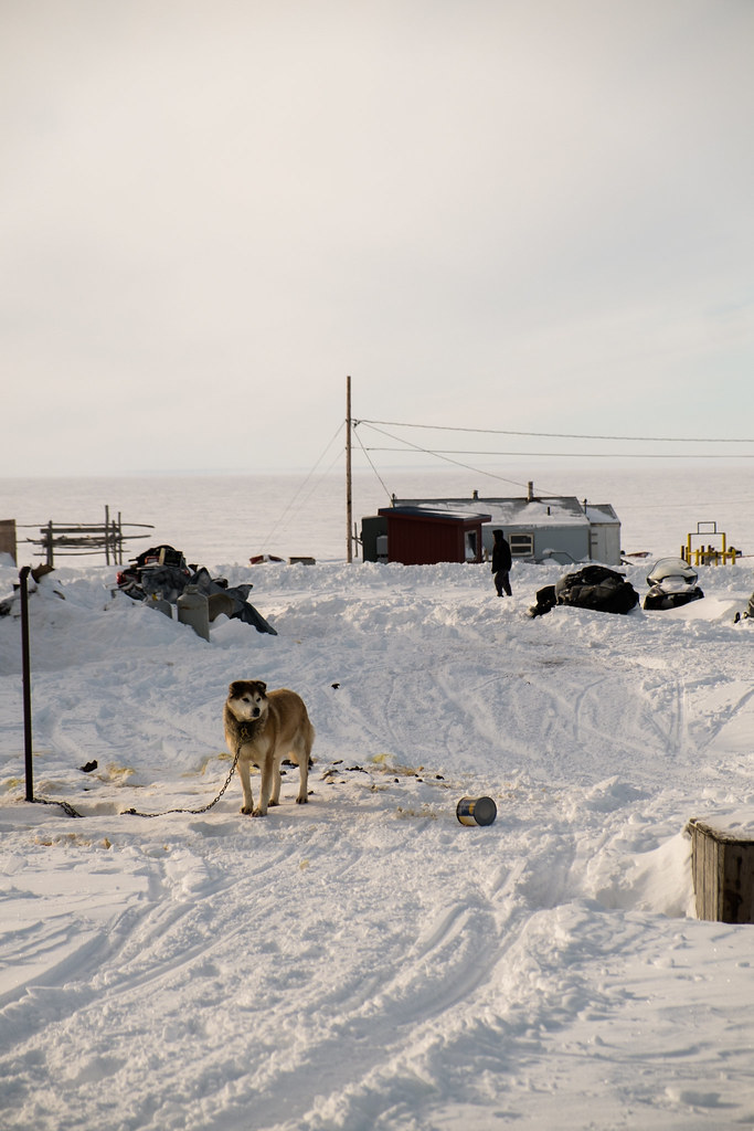 Brevig, Alaska Flickr