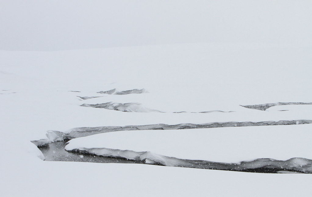 Antler Creek Antler Creek in Hayden Valley; Jim Peaco; Feb… Flickr