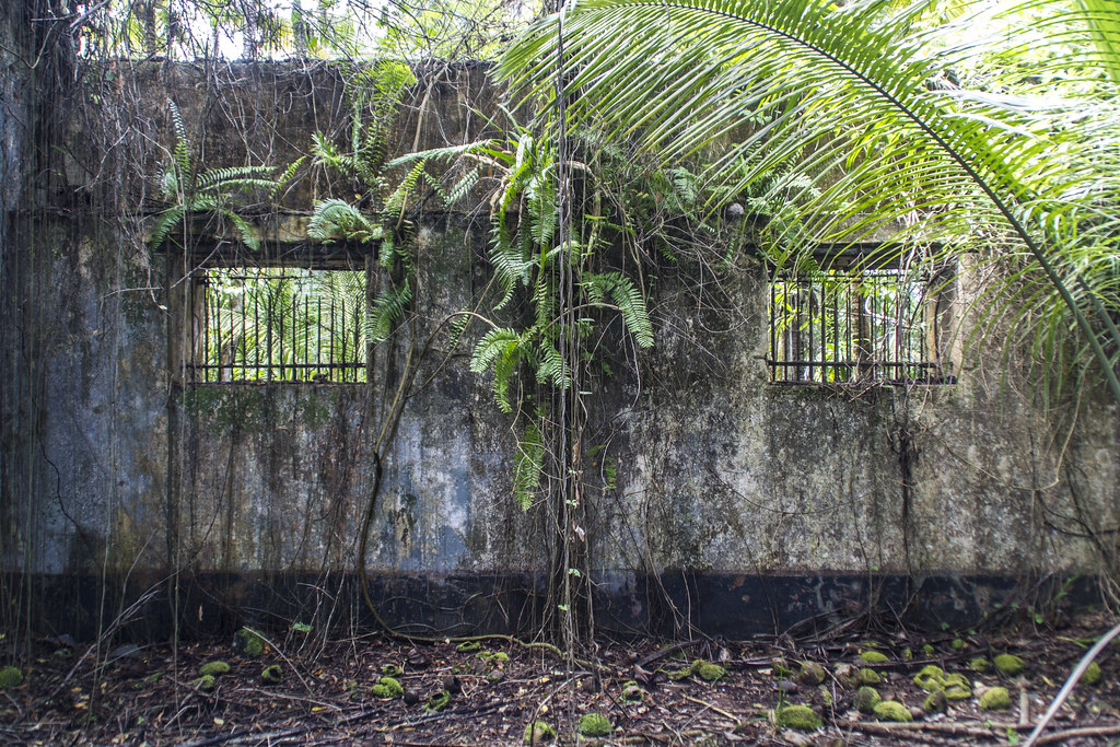 Bagne, île de SaintJoseph Nicolas Karasiak Flickr