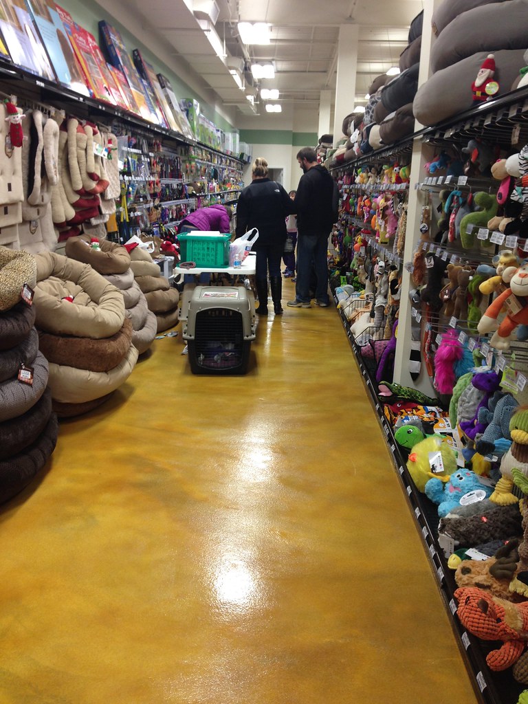 Tom Choice Pets 12/6/14 Flickr