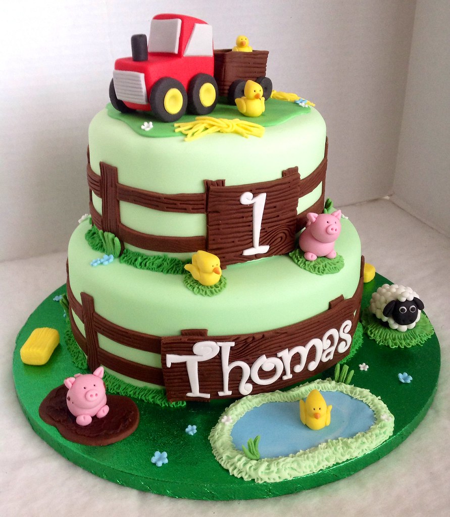 Farm Yard 1st Birthday Cake Liz Flickr