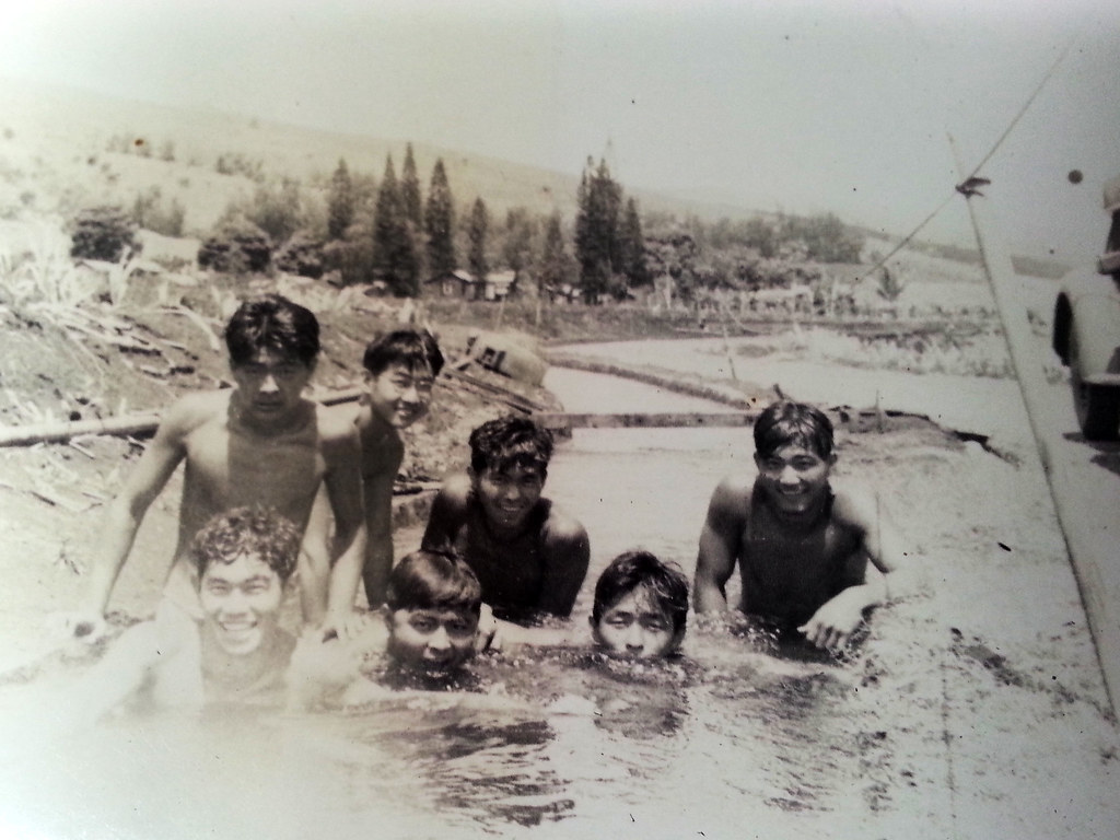 Go For Broke tells the story of the Varsity Victory Volunteers