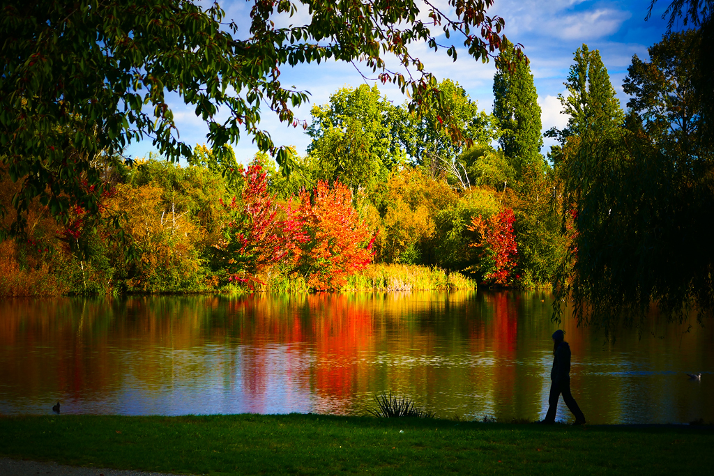 Trout Lake Park in Autumn in Vancouver BC Canada Trout Lak… Flickr