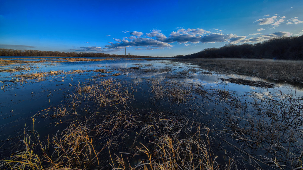 DSC_8085 Old Cedar Ave. Park, Bloomington, Minnesota Peter
