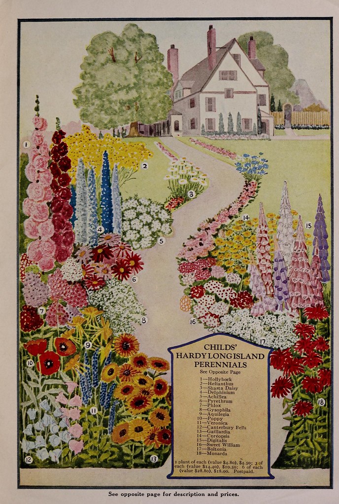 n42_w1150 Childs' fall catalog . Floral Park, N.Y. John … Flickr
