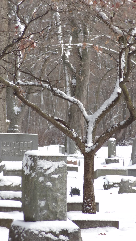 Oak Hill Cemetery, Owosso, MI barbaragaillewis Flickr