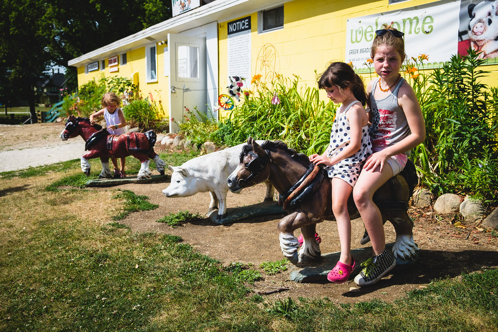 Flickriver Photoset 'Green Meadows Petting Farm • July 2016' by djandzoya