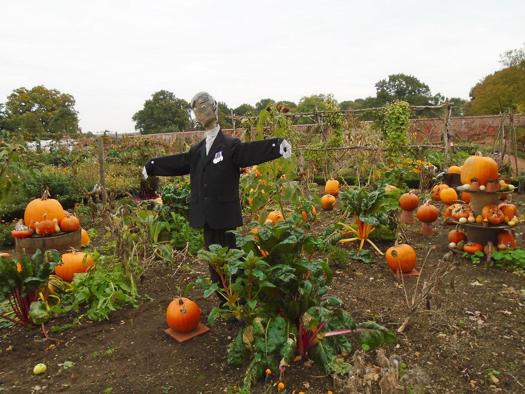 Packwood House Pumpkin patch Adrian Pearce Flickr