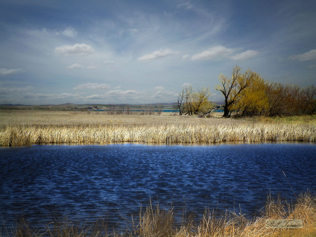 Little lake North of Woodworth, North Dakota. Thanks to ev… Flickr