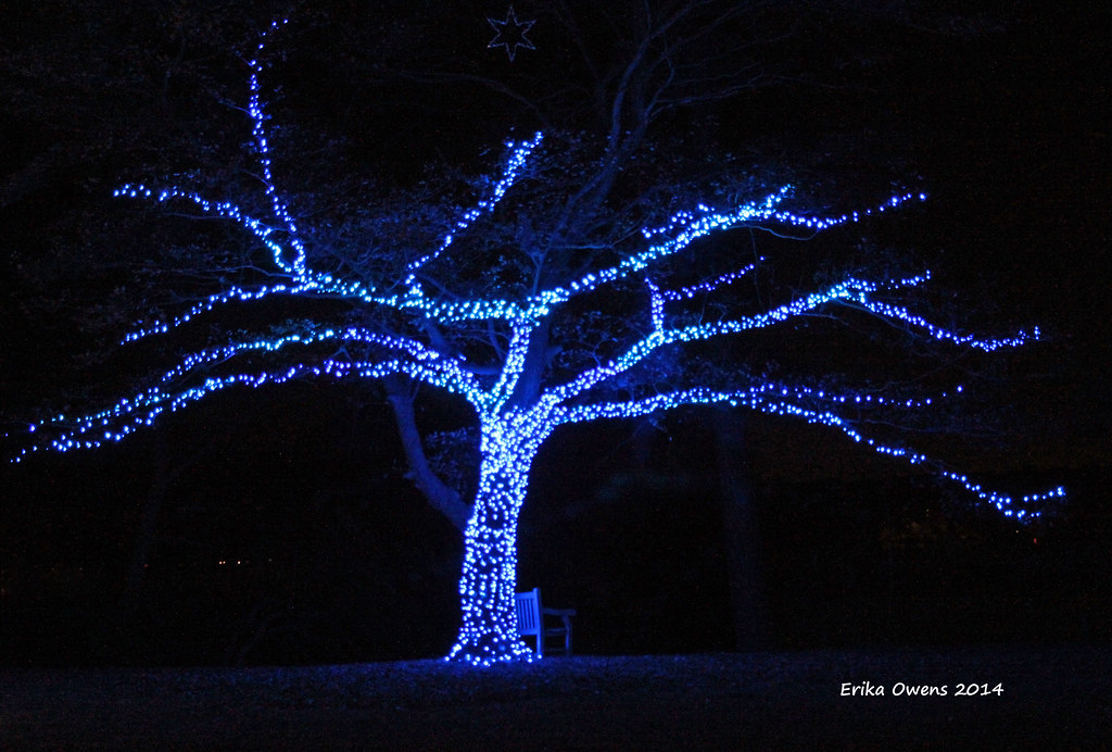 Million Bulb Walk 2014 Botanical Gardens Norfolk, VA Flickr