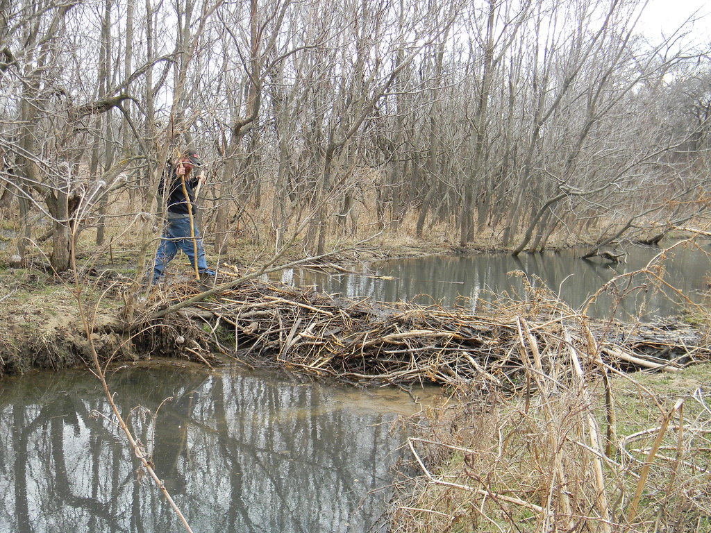 Maxwell State Fishing Lake 2015 Karin Clark Flickr