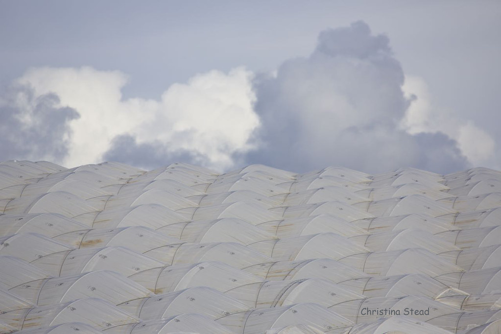 Santa Maria "farm art" So many times I have driven past th… Flickr