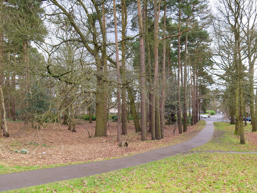 It's called Bracknell Forest for a reason Roger Pothecary Flickr