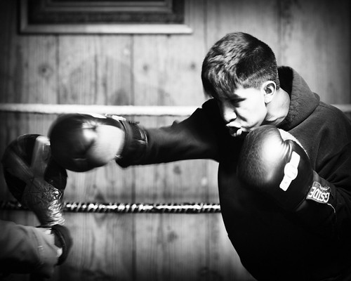 Raging bull Listen thorvaala Flickr