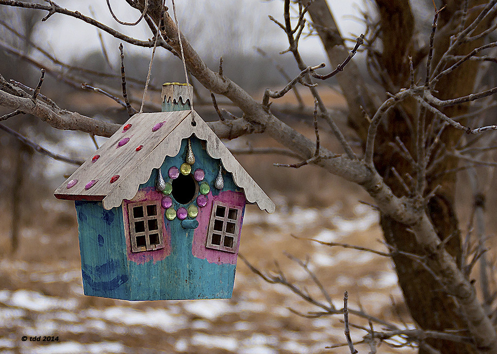 peacock house Available in several print sizes and options… Flickr