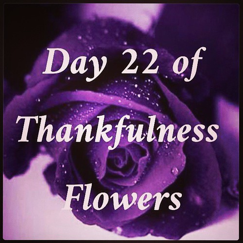 Day 22 of Thankfulness I'm thankful for flowers that has t… Flickr