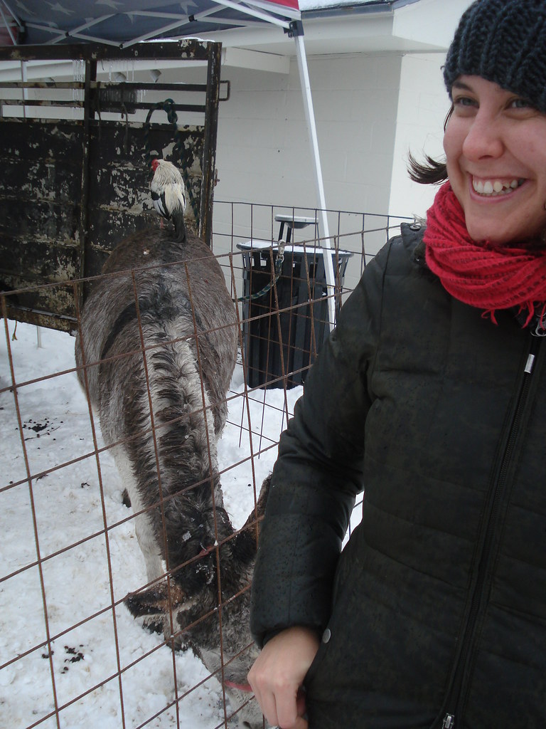 Dela Taylor at the petting zoo provided by Tessiers Farm Flickr