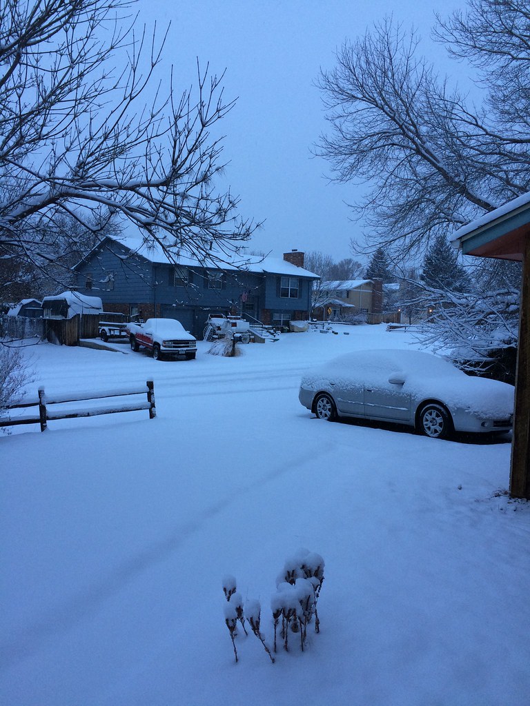 Snowy (day after) Christmas!!! Probably normal for Arvada,… Flickr