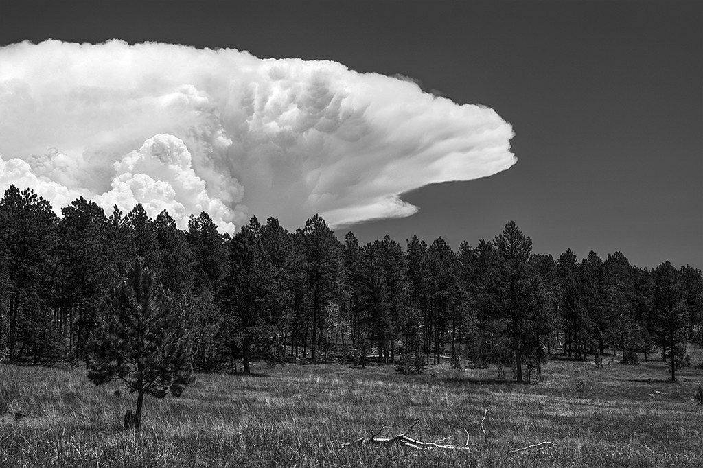 Elevation of Deerfield Rd, Hill City, SD, USA Topographic Map