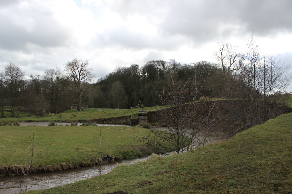 IMG_0339 CoedyGlyn Wood, Wrexham. Rebeccawithers Flickr