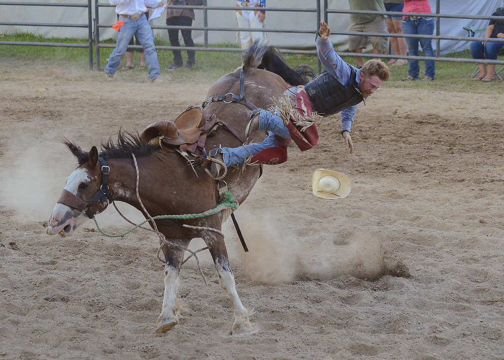 223 of 366 Rodeo at the Jackson County Fair, Michigan Had … Flickr