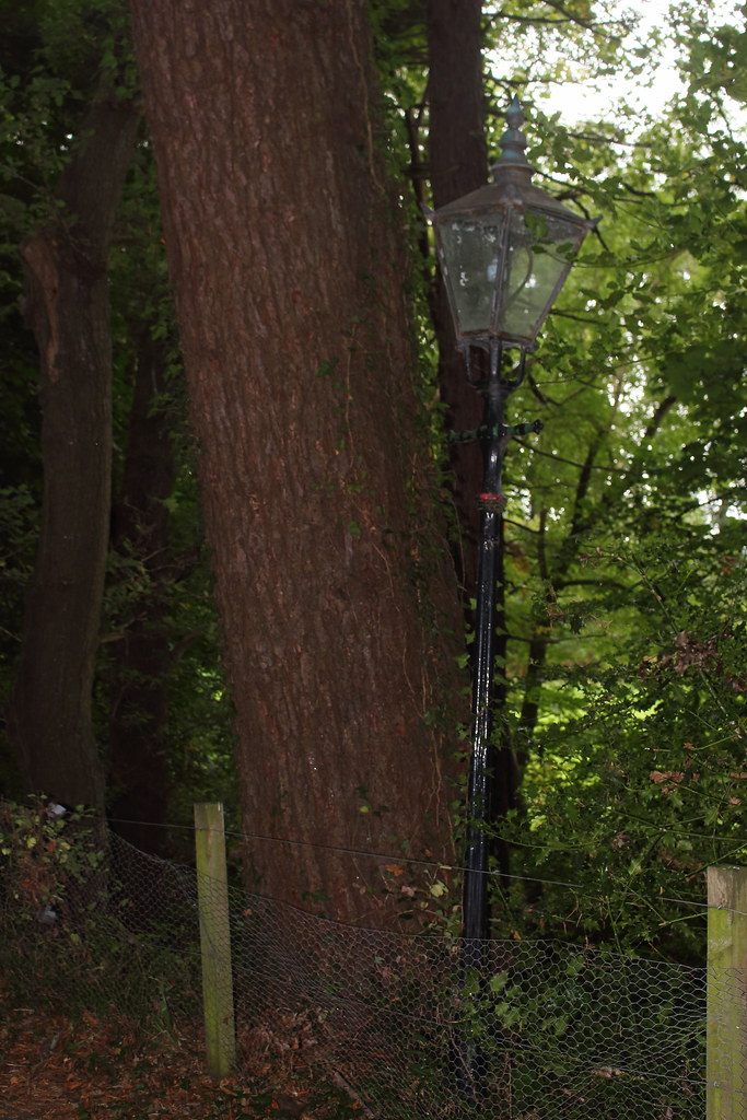 Lamp Standard,Kirkton of Durris_oct 16_136 Alan Longmuir. Flickr