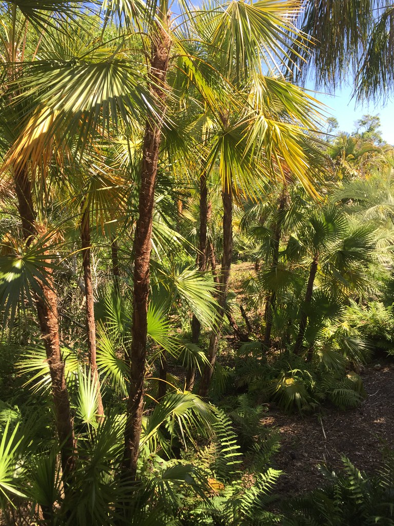 Palm Garden Of Largo Jobs Authentic Italian Cuisine/Authentic Life