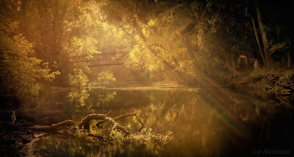 dans le soleil... "into the sun..." in French Shot directl… Flickr