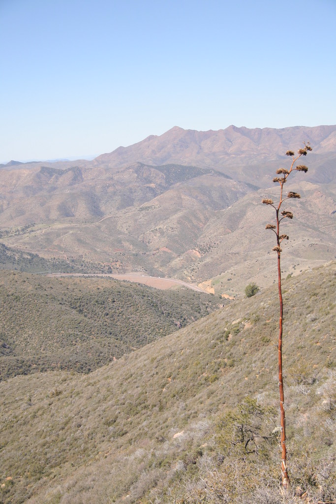 SR 87 Runaway Truck Ramp Work continues on the SR 87 Runaw… Flickr