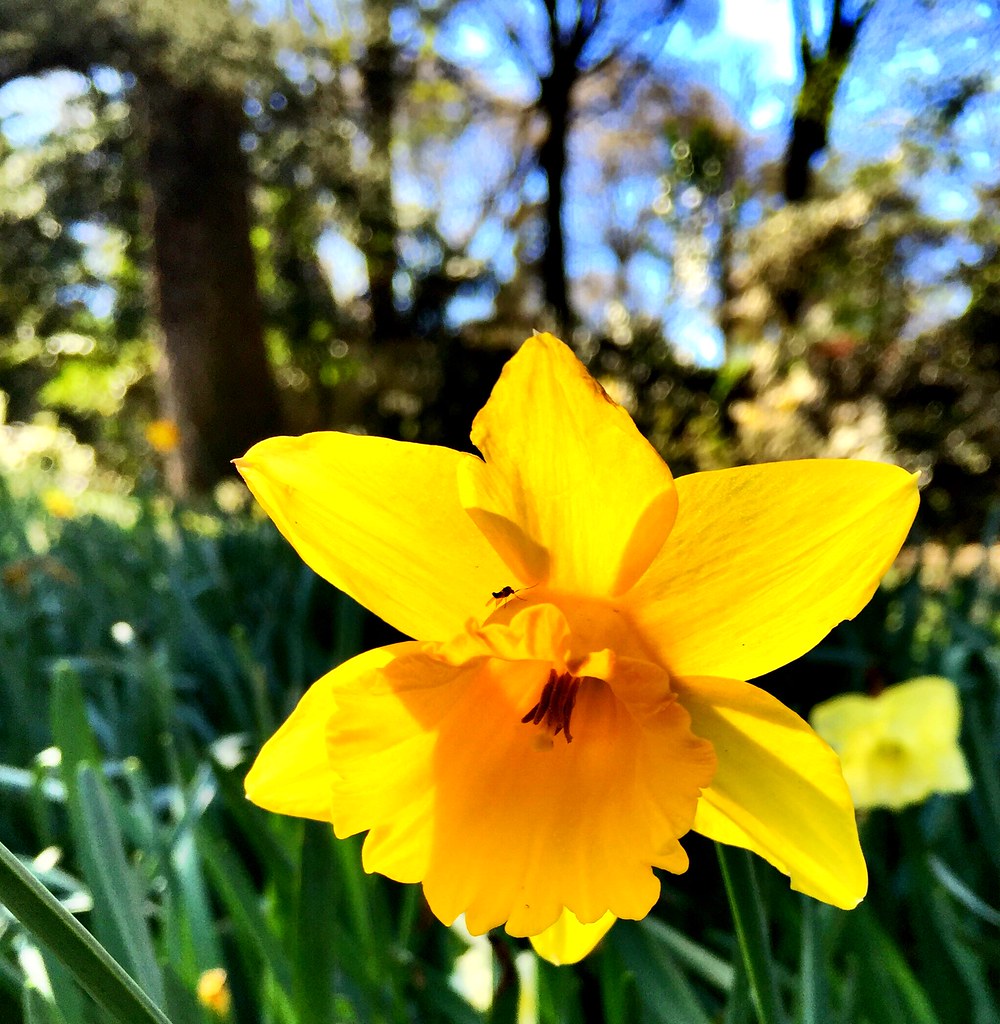 Il colore della felicità MA.MO Flickr