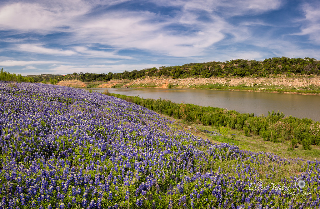 Field Muleshoe Bend Park, Spicewood, Texas © Al… Flickr