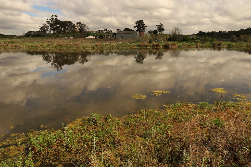 Pettys orchard wetlands Templestowe 043 Graeme Butler Flickr