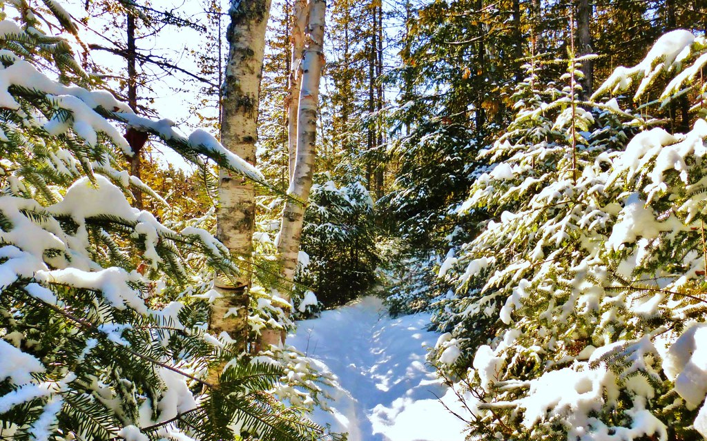 Trowbridge Ontario, Richard Falshaw, Trowbridge Falls Park… Flickr