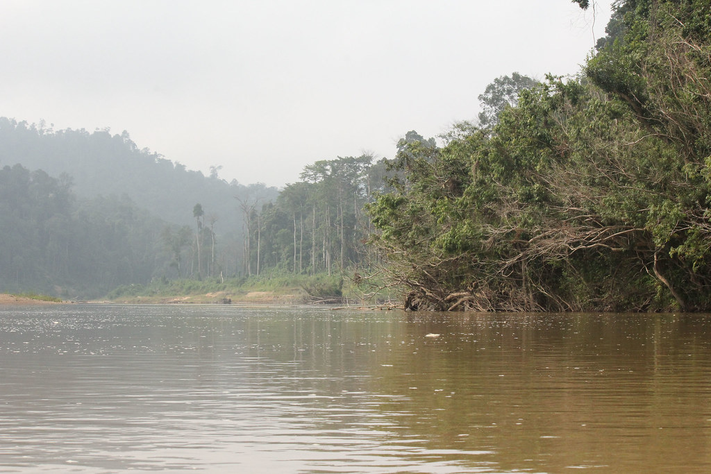 Sungai Tembeling, Taman Negara, Malaysia Sungai