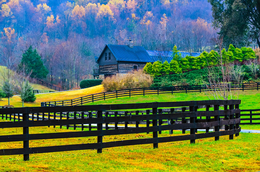 Blue Ridge horse farm.... Virginia early morning; a hors… Flickr