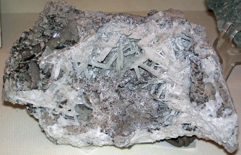 Celestite in Silurian fossiliferous dolostone (quarry at C… Flickr