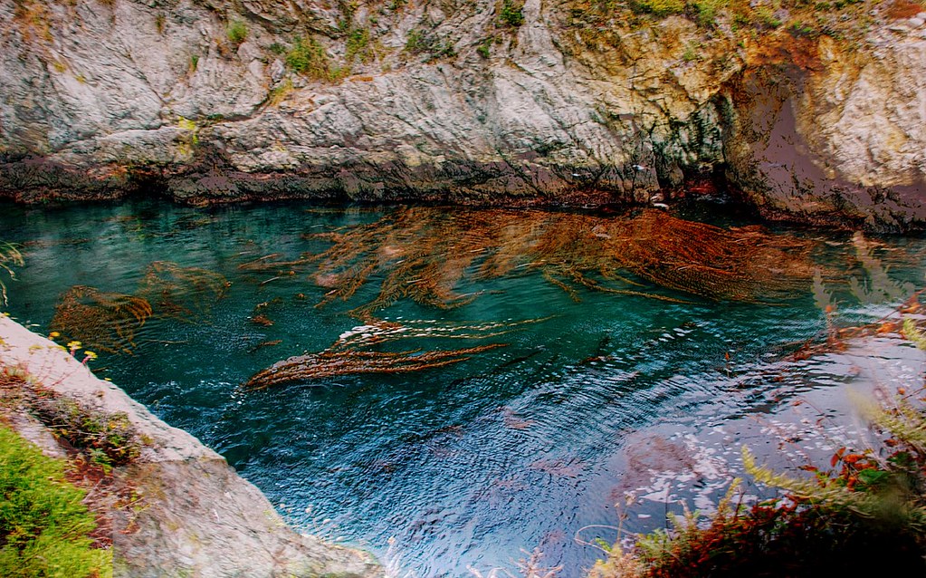 Roosevelt's Big Sur tin house hunting retreat boat slip Flickr
