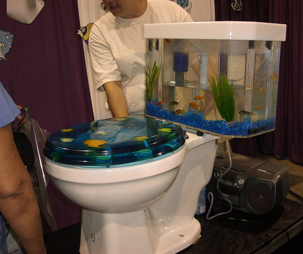 Finding Nemo a photo on Flickriver