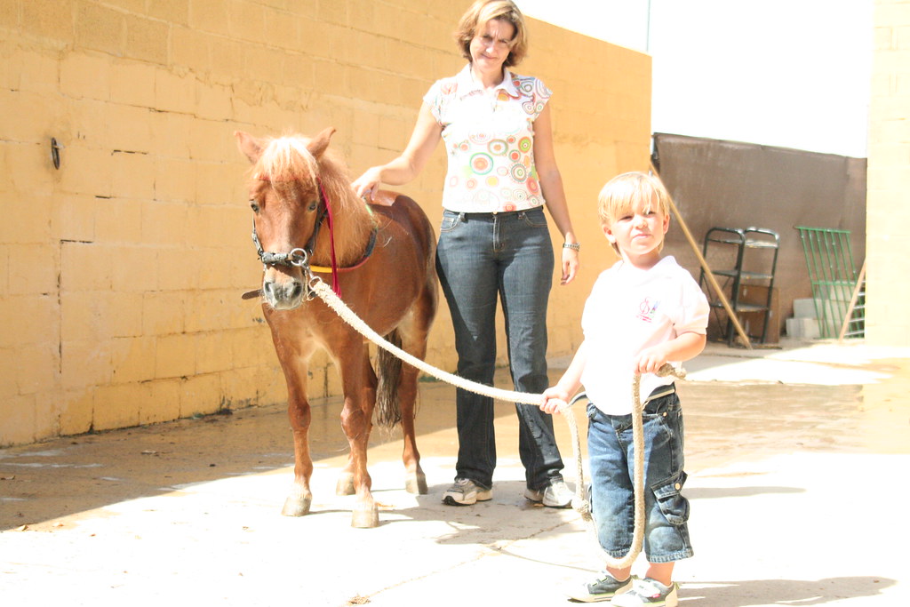 Leading the horse back to his stable Tom Raftery Flickr