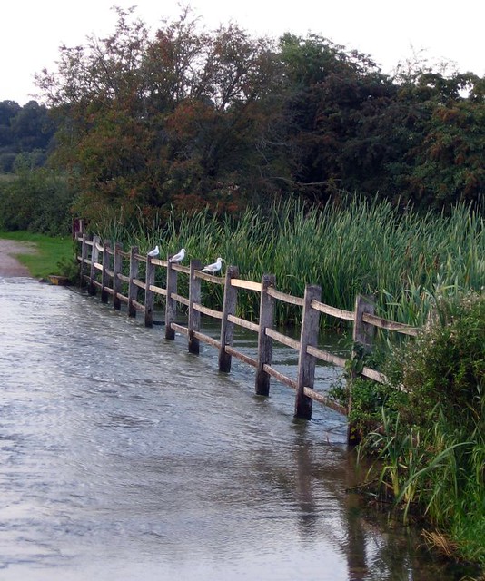 The Ford at Hardwick, Clumber Roberts Flickr