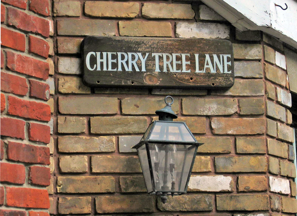 Cherry Tree Lane A Great Capture Flickr