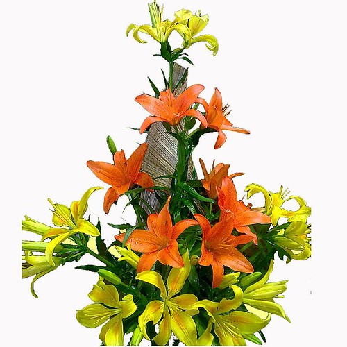 Send flowers to Kolkata A rose can cheer someone when he/s… Flickr