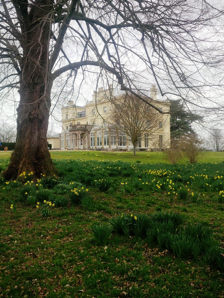 Stonewall Park Kent NGS Sunday March 2015 1 tunatownfc Flickr