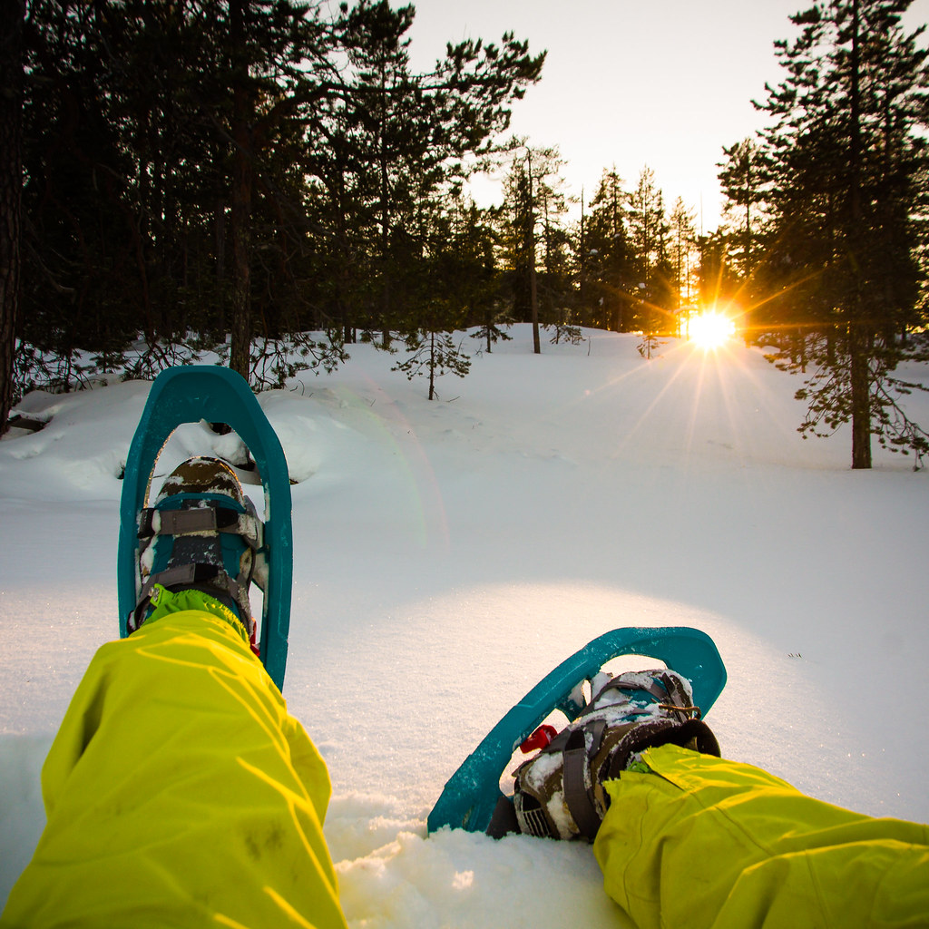 Snowshoeing in the Lapland Snowshoeing in the forest of La… Flickr