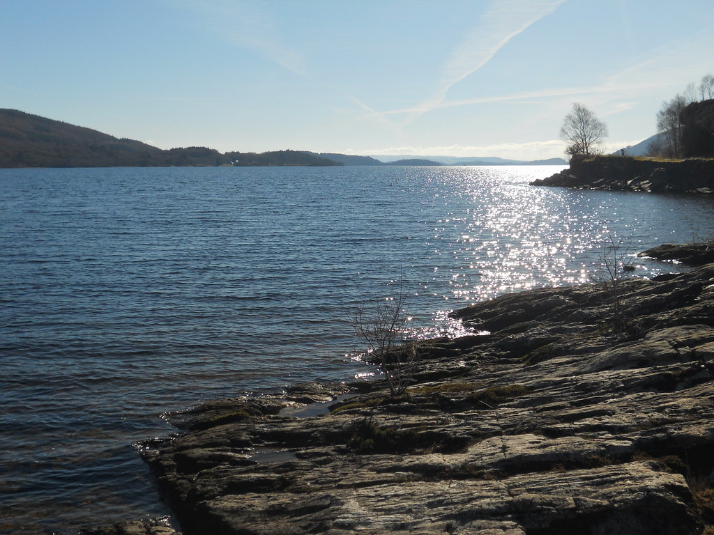 firkin point, loch lomond i was carried to ohio on a swarm of bees