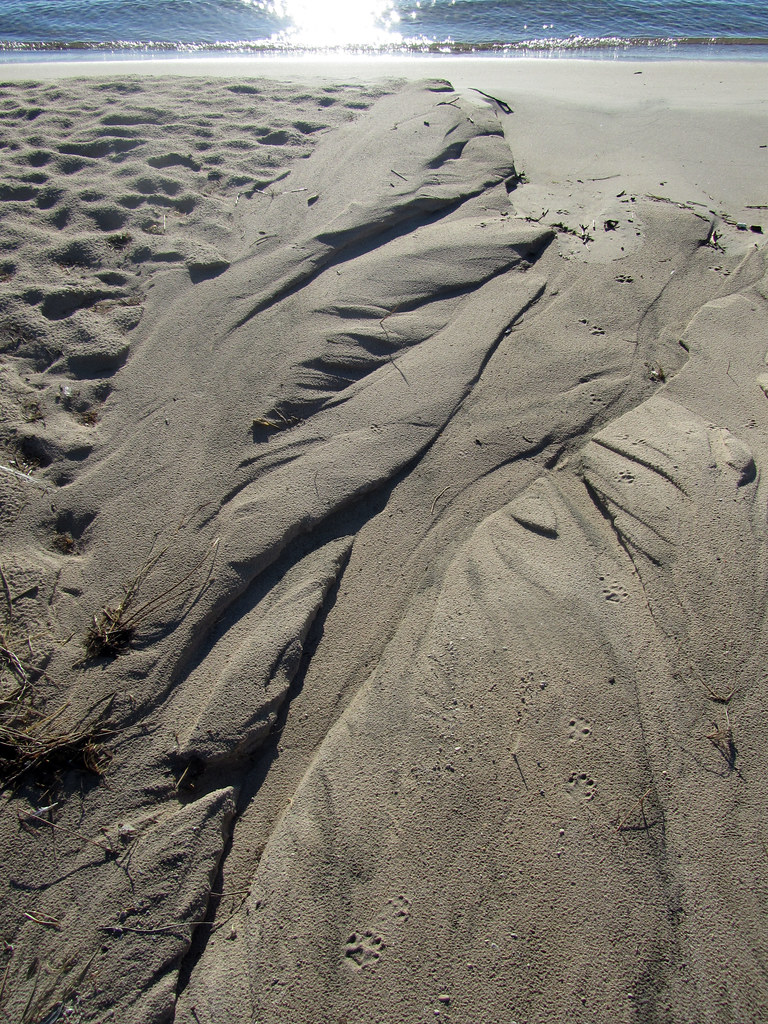 sand formation Lake Michigan KohlerAndrae State Park, Wis… Flickr
