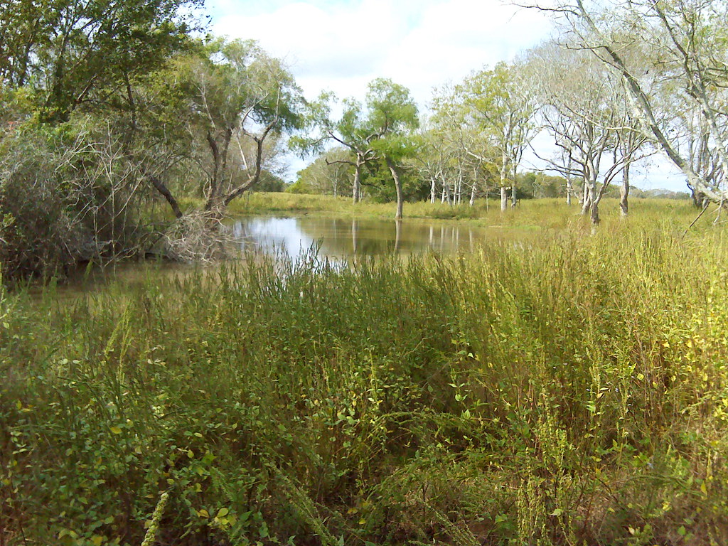 Live Oak Creek Preserve Photo by Robert Goode Flickr