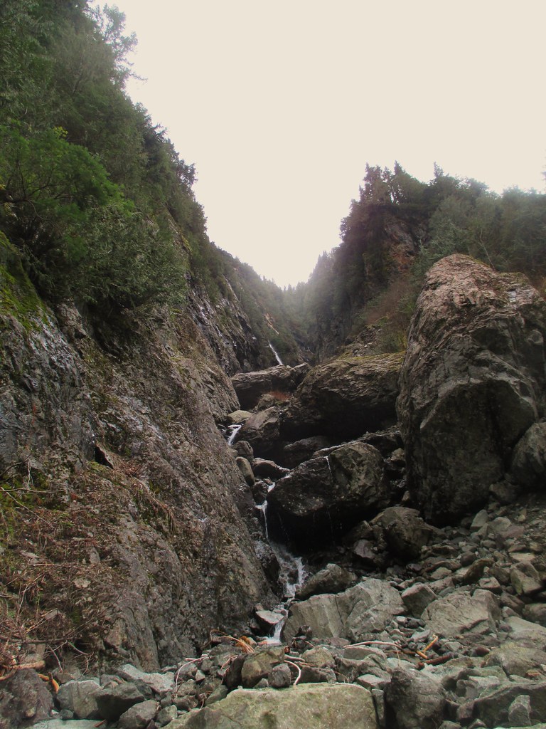 Perry Creek Trail/Mount Meadows 22 March 2015 Flickr